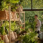 Grecotel Luxme Costa Botanica