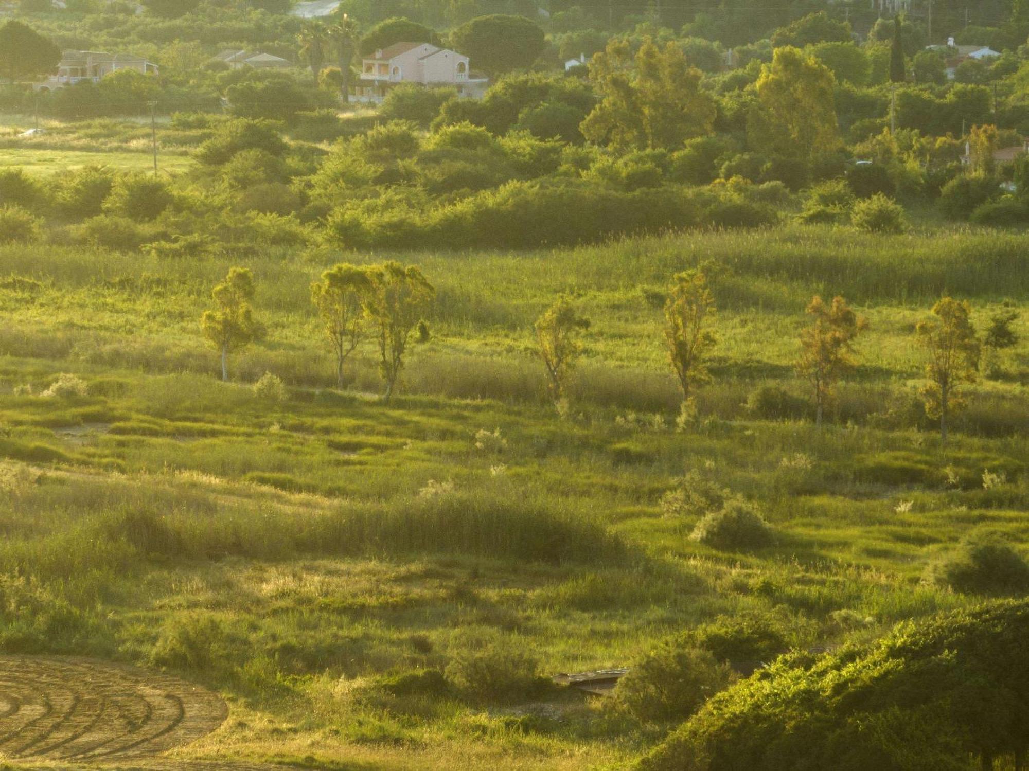 Grecotel Luxme Costa Botanica 5*